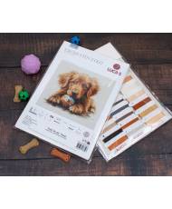 Cross Stitch Kit Luca-S - The Play Time, BU5037