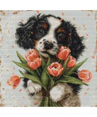 Cross Stitch Kit Luca-S - The Cocker Spaniel Puppy, BU5067