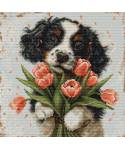 Cross Stitch Kit Luca-S - The Cocker Spaniel Puppy, BU5067