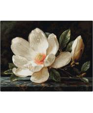 Cross Stitch Kit Luca-S - Magnolia Dew, B713 NEW