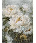 Cross Stitch Kit Luca-S GOLD -The Light of Spring Peonies, B715