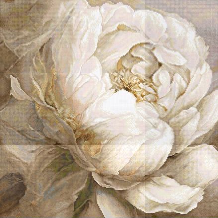 Counted Cross Stitch Kit, White Peony,  LETISTITCH L8083