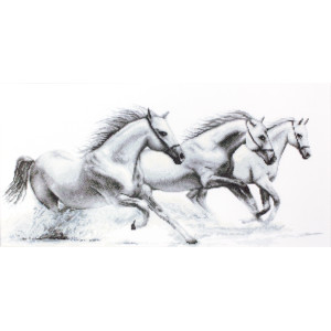 Cross Stitch Kit “White horses” Luca-S B495