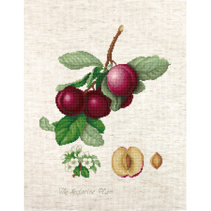 Cross Stitch Kit “The Nectarine Plum” Luca-S BA22480