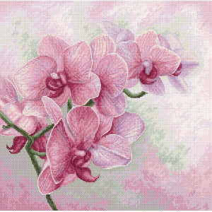 Cross Stitch Kit Graceful Orchids, Luca-S B7009