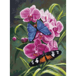 Cross Stitch Kit Nature’s Poetry, Luca-S B7010