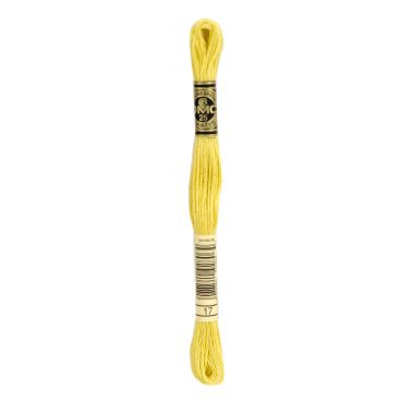 DMC 017 Six-Strand Floss – Light Yellow Plum