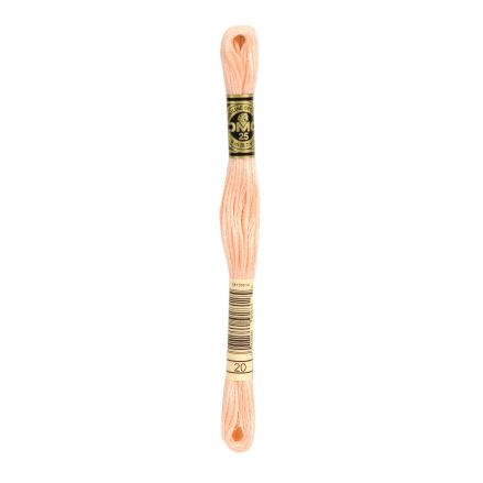 DMC 020 Six-Strand Floss – Shrimp
