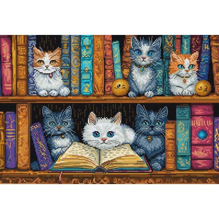 Cross Stitch Kit, LETISTITCH Bookshelf L9917