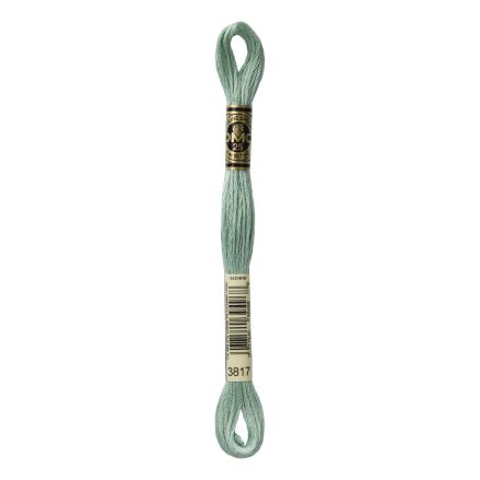 DMC 3817 Six-Strand Floss – Light Celadon Green