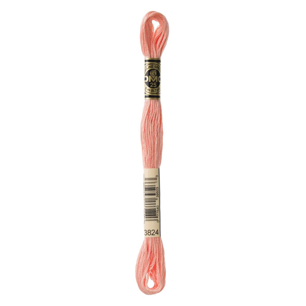 DMC 3824 Six-Strand Floss – Light Apricot DMC 3824 Six-Strand Floss – Light Apricot
