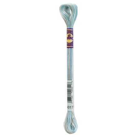 4017 DMC Color Variations Polar Ice