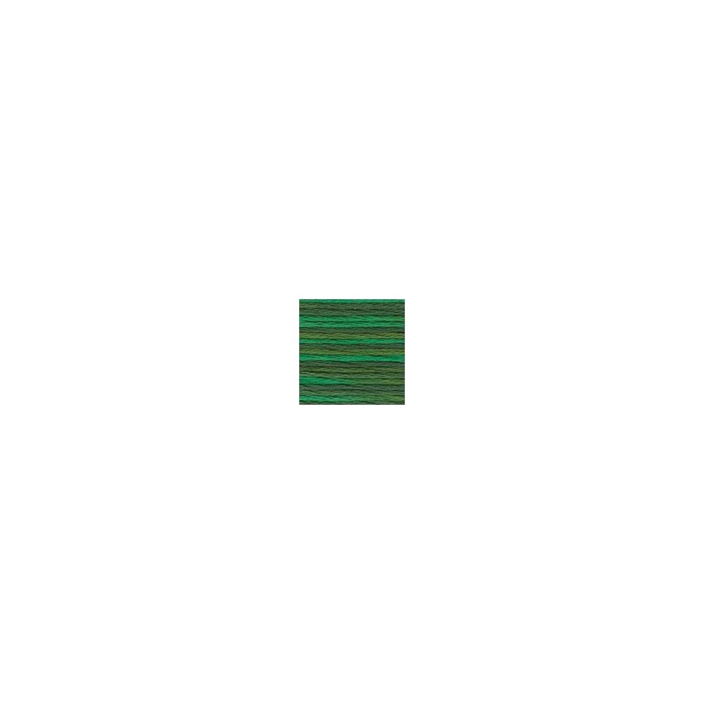 DMC 4047 Color Variations Floss - Emerald Isle
