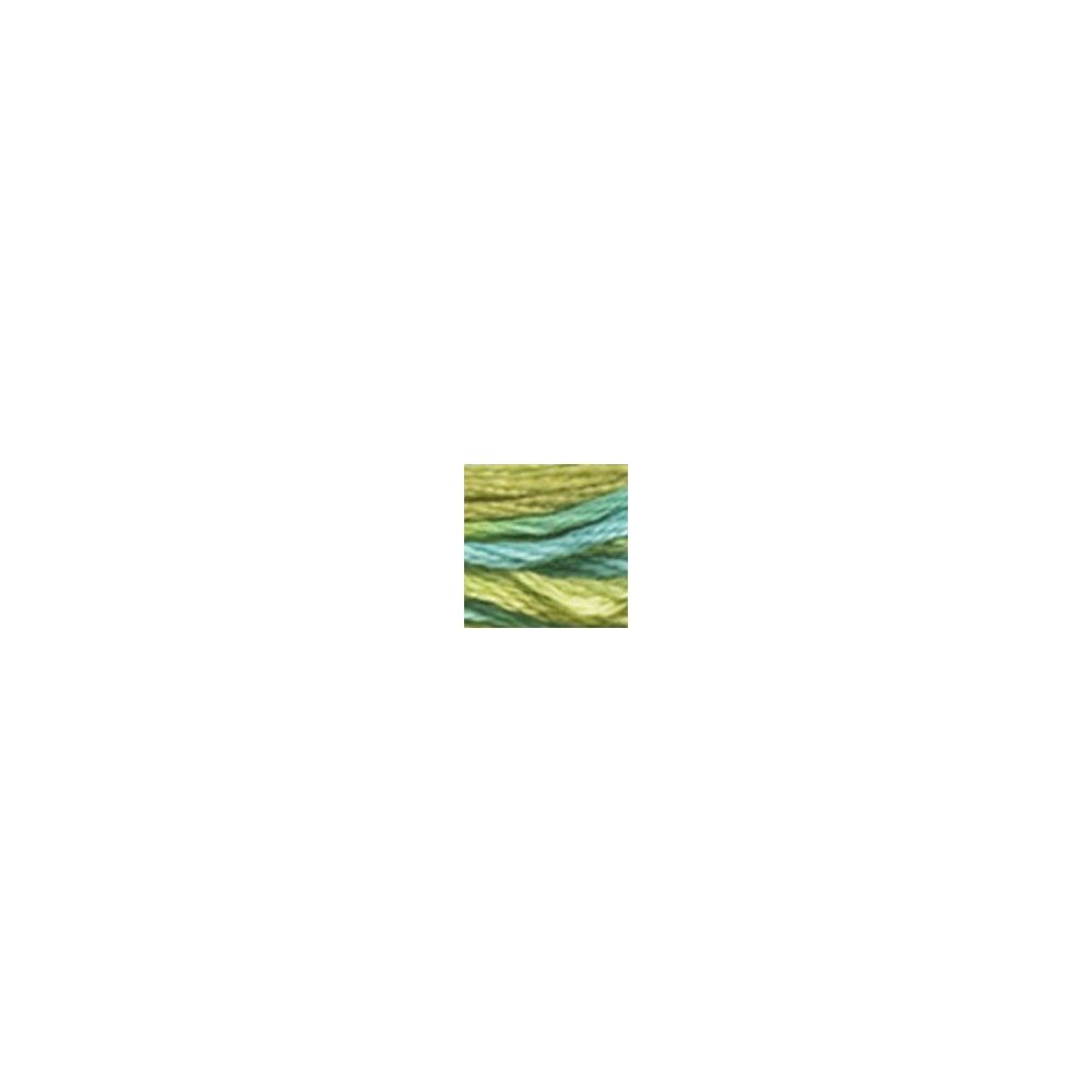 DMC 4050 Color Variations Floss - Roaming Pastures