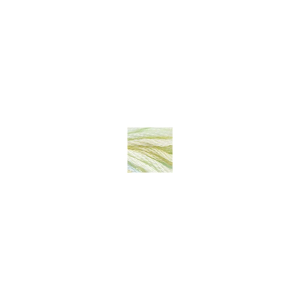 DMC 4060 Color Variations Floss - Weeping Willow