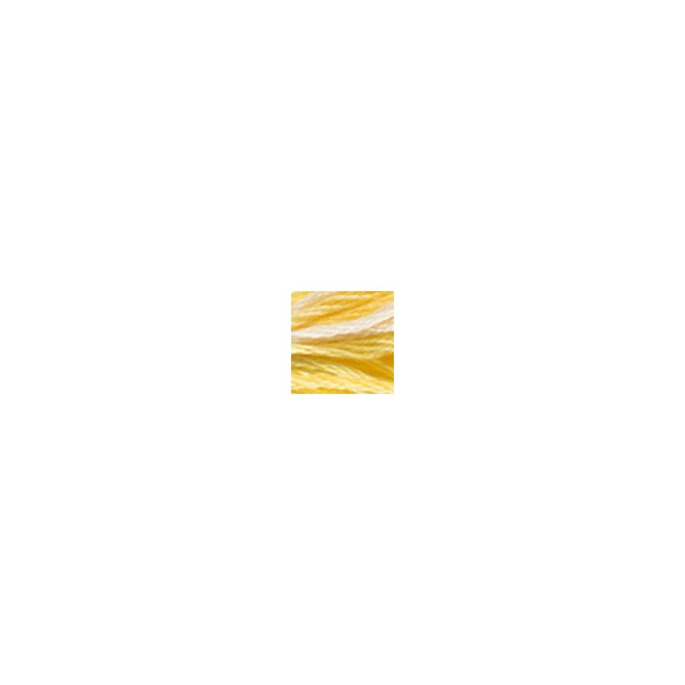 DMC 4080 Color Variations Floss - Daffodil Fields