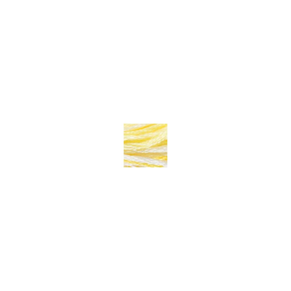 DMC 4077 Color Variations Floss - Morning Sunshine