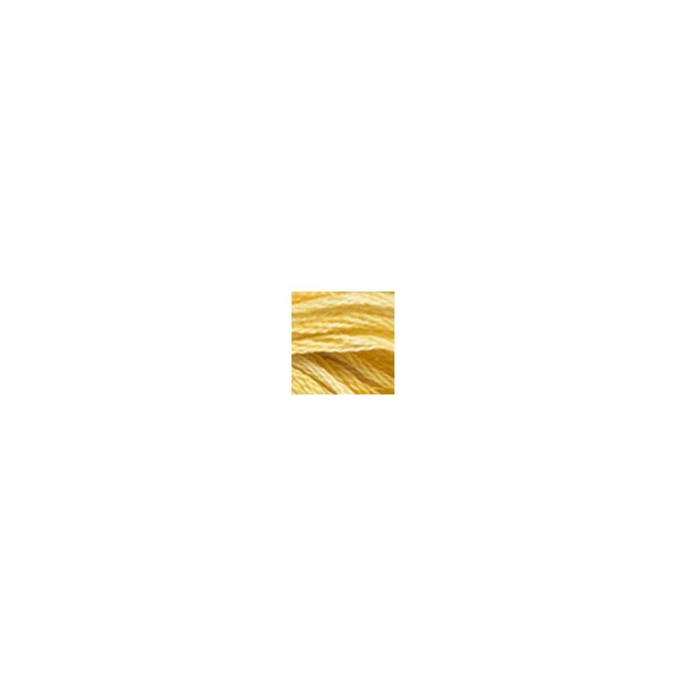 DMC 4075 Color Variations Floss - Wheat Field