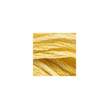 DMC 4075 Color Variations Floss - Wheat Field