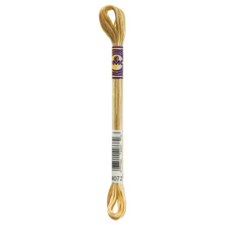 4072 DMC Color Variations Toasted Almond
