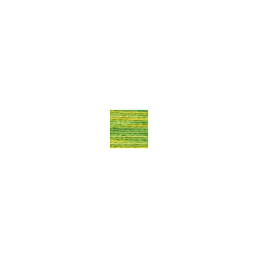 DMC 4069 Color Variations Floss - Margarita