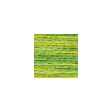 DMC 4069 Color Variations Floss - Margarita