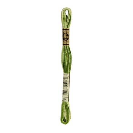 DMC 092 Six-Strand Floss – Variegated Avocado