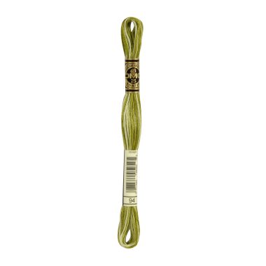 DMC 094 Six-Strand Floss – Variegated Khaki Green