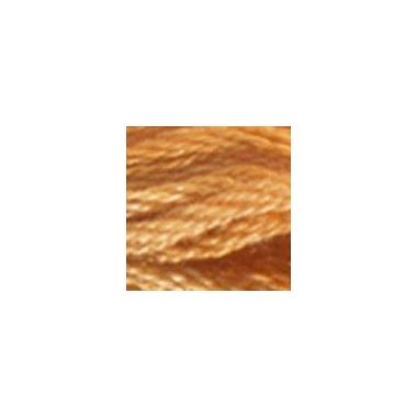 DMC 4128 Color Variations Floss - Gold Coast