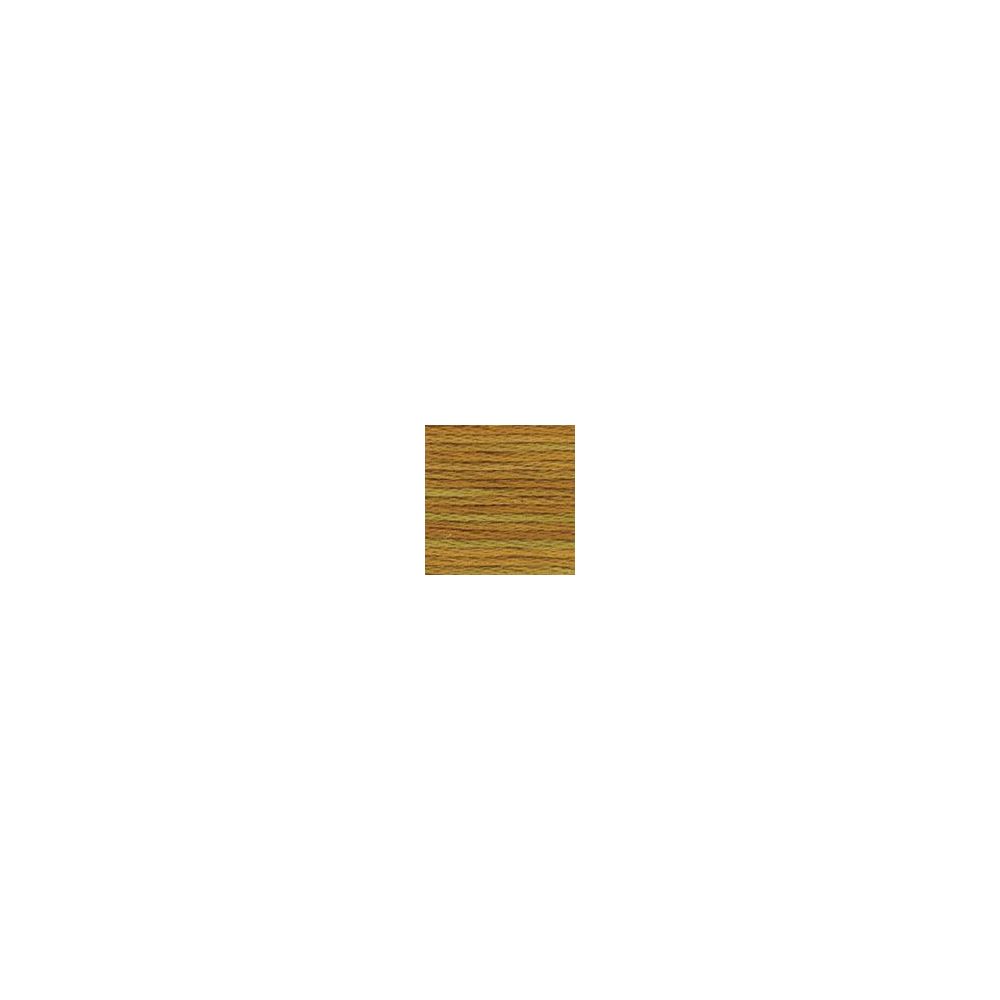 DMC 4129 Color Variations Floss - Peanut Brittle