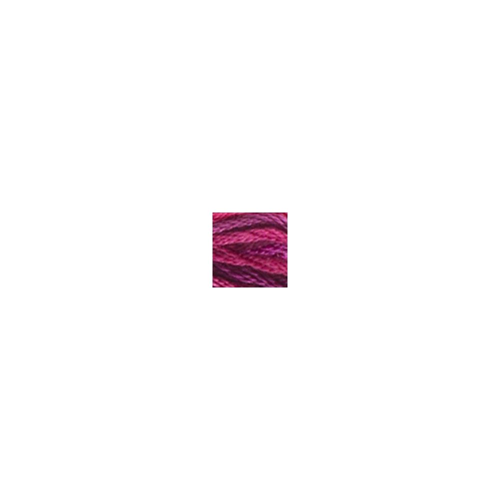 DMC 4210 Color Variations Floss - Radiant Ruby