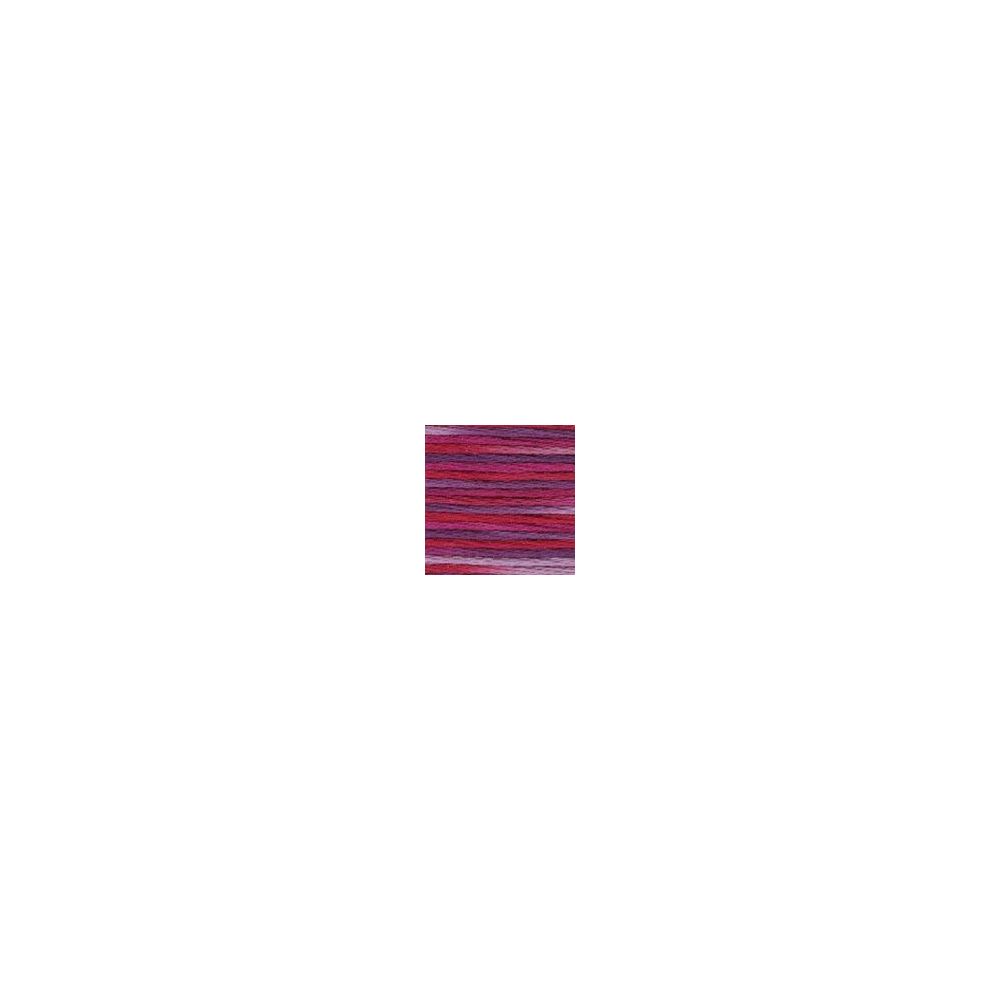 DMC 4211 Color Variations Floss - Amour