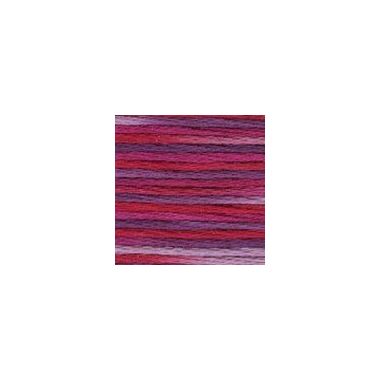 DMC 4211 Color Variations Floss - Amour