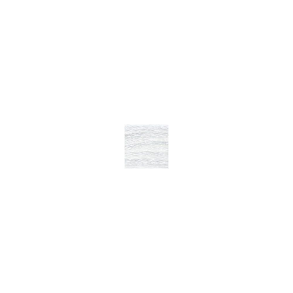 DMC BLANC Six-Strand Floss – White