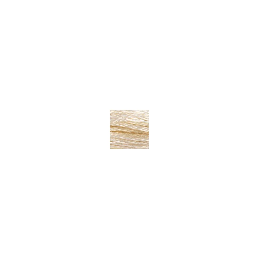 DMC ECRU Six-Strand Floss – Ecru
