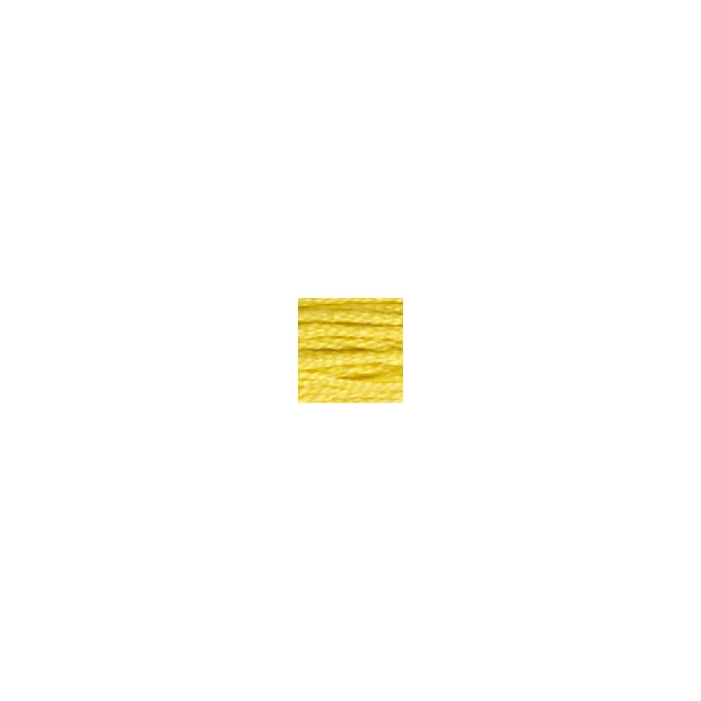 DMC 018 Six-Strand Floss – Yellow Plum