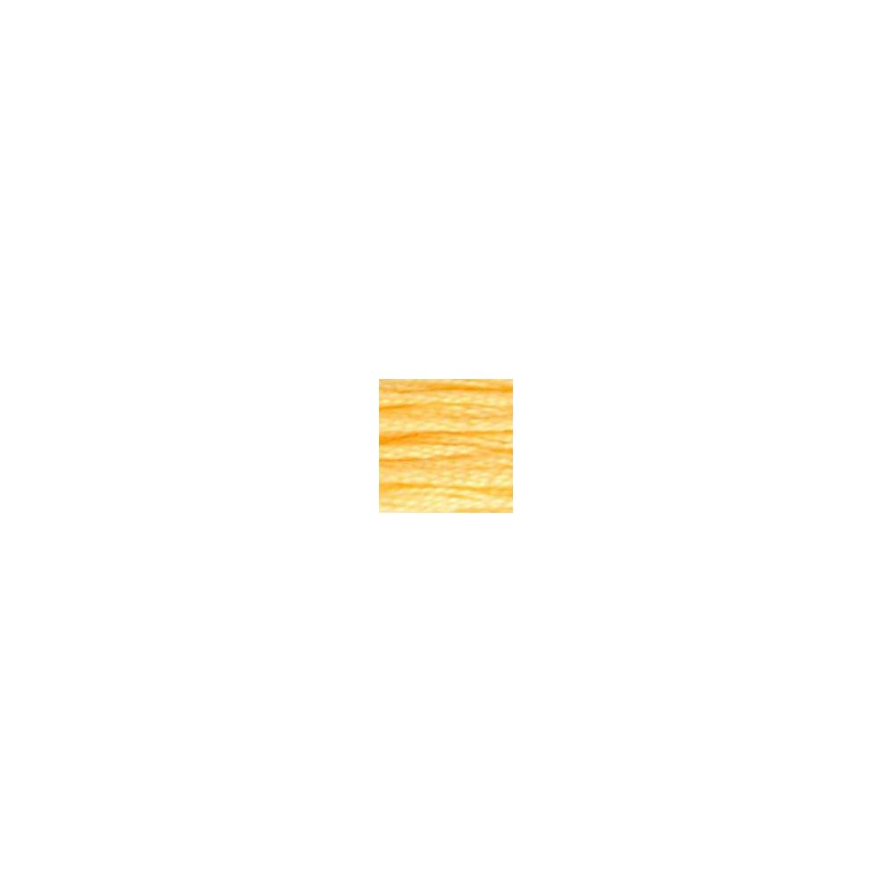 DMC 019 Six-Strand Floss – Medium Light Autumn Gold