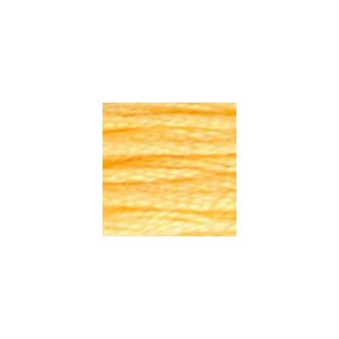 DMC 019 Six-Strand Floss – Medium Light Autumn Gold