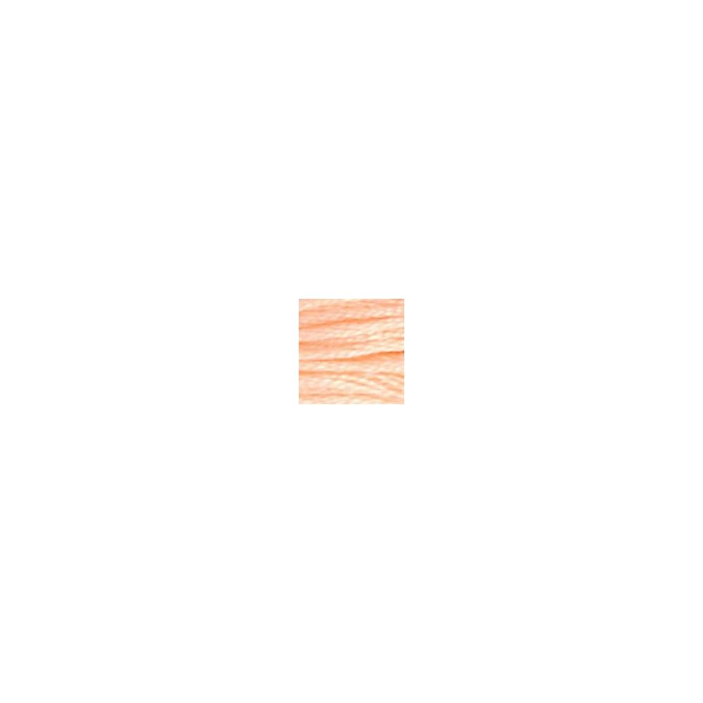 DMC 020 Six-Strand Floss – Shrimp