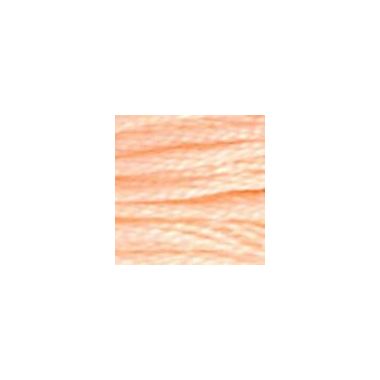 DMC 020 Six-Strand Floss – Shrimp
