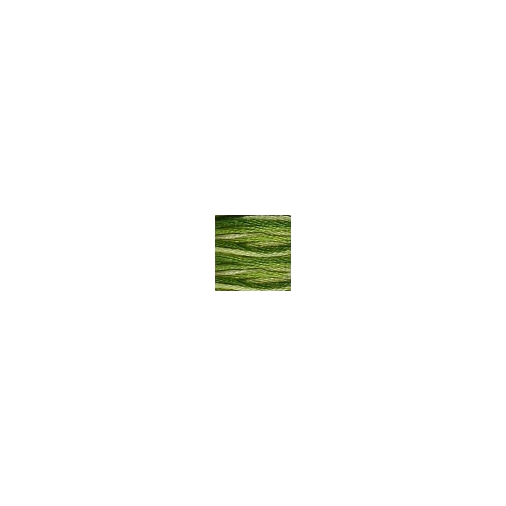 DMC 092 Six-Strand Floss – Variegated Avocado