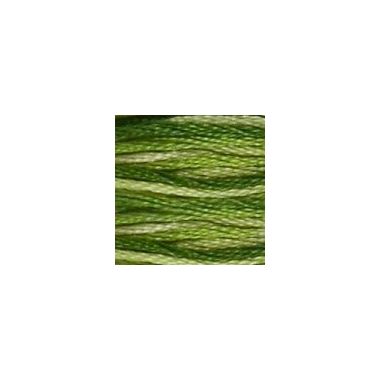 DMC 092 Six-Strand Floss – Variegated Avocado
