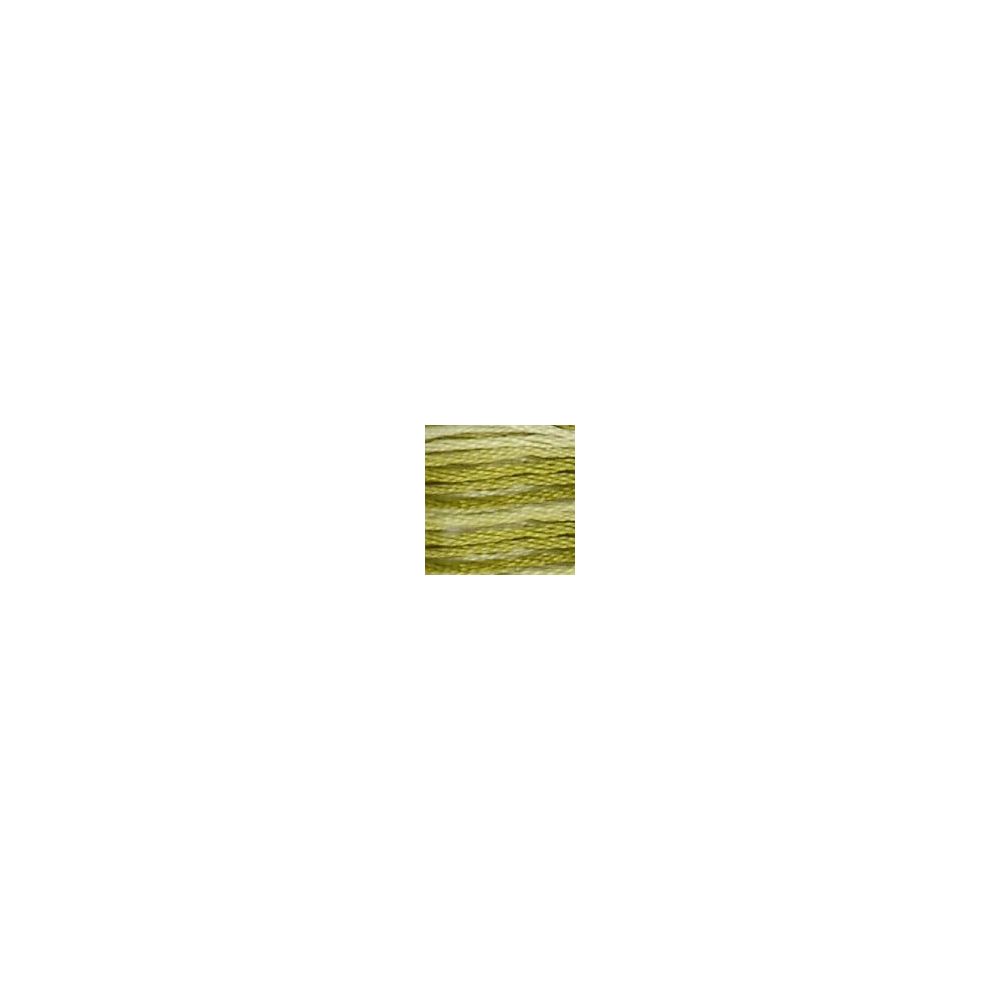 DMC 094 Six-Strand Floss – Variegated Khaki Green