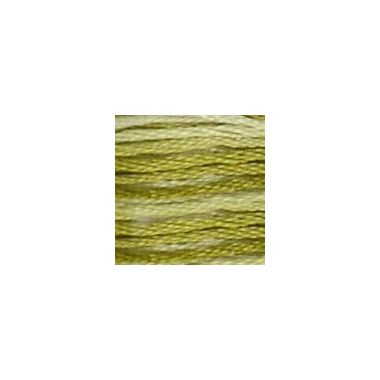 DMC 094 Six-Strand Floss – Variegated Khaki Green