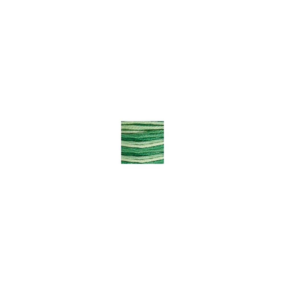 DMC 125 Six-Strand Floss – Variegated Seafoam Green