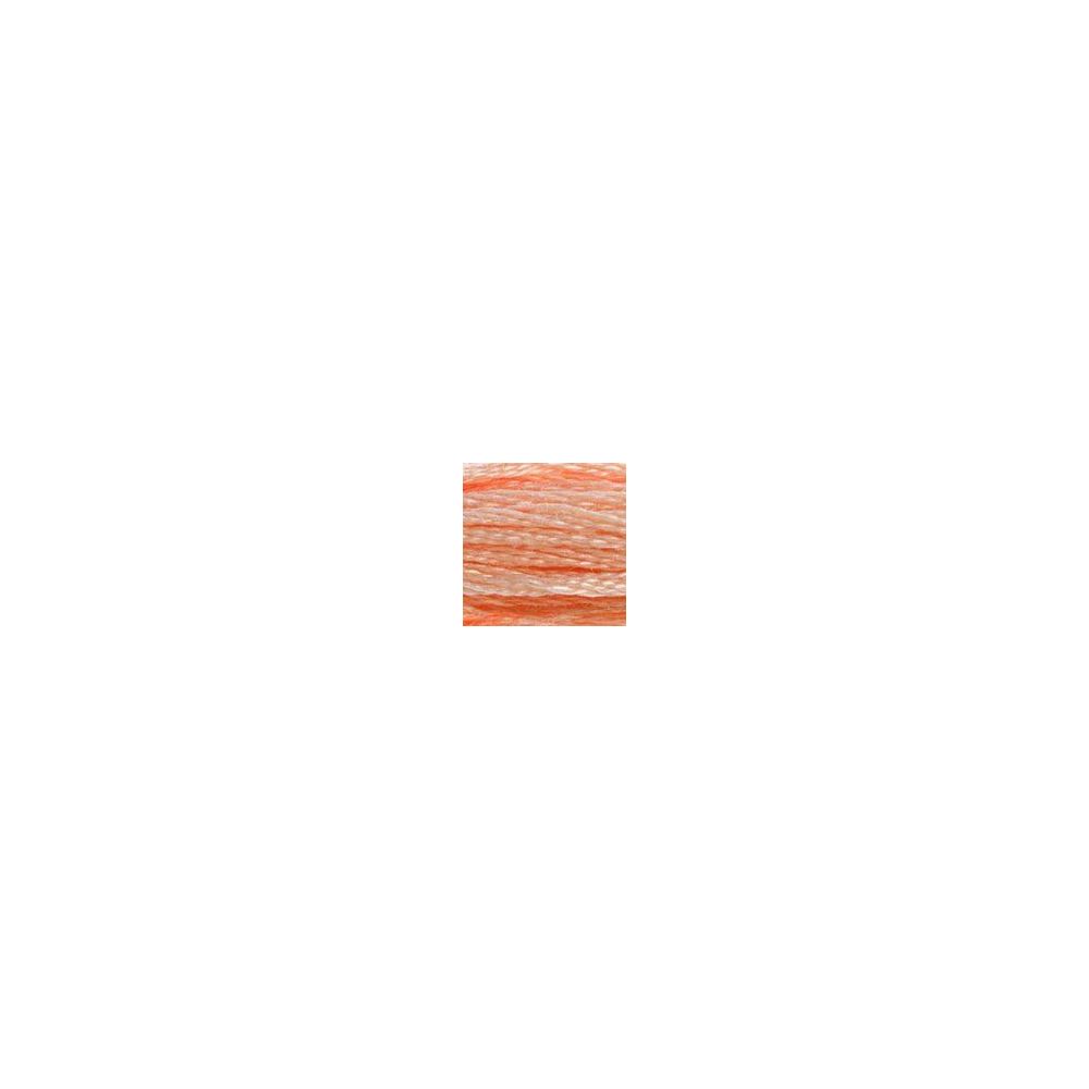 DMC 353 Six-Strand Floss – Peach