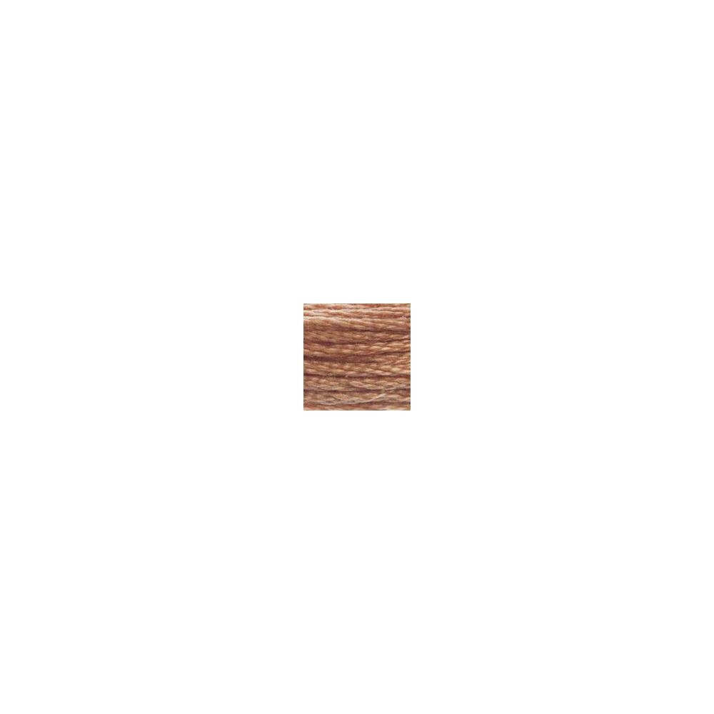 DMC 407 Six-Strand Floss – Dark Desert Sand