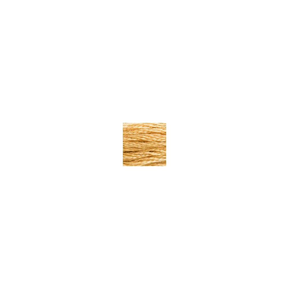 DMC 422 Six-Strand Floss – Light Hazelnut Brown