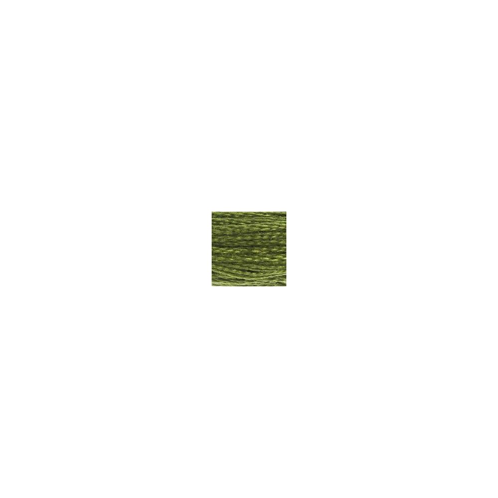 DMC 469 Six-Strand Floss – Avocado Green