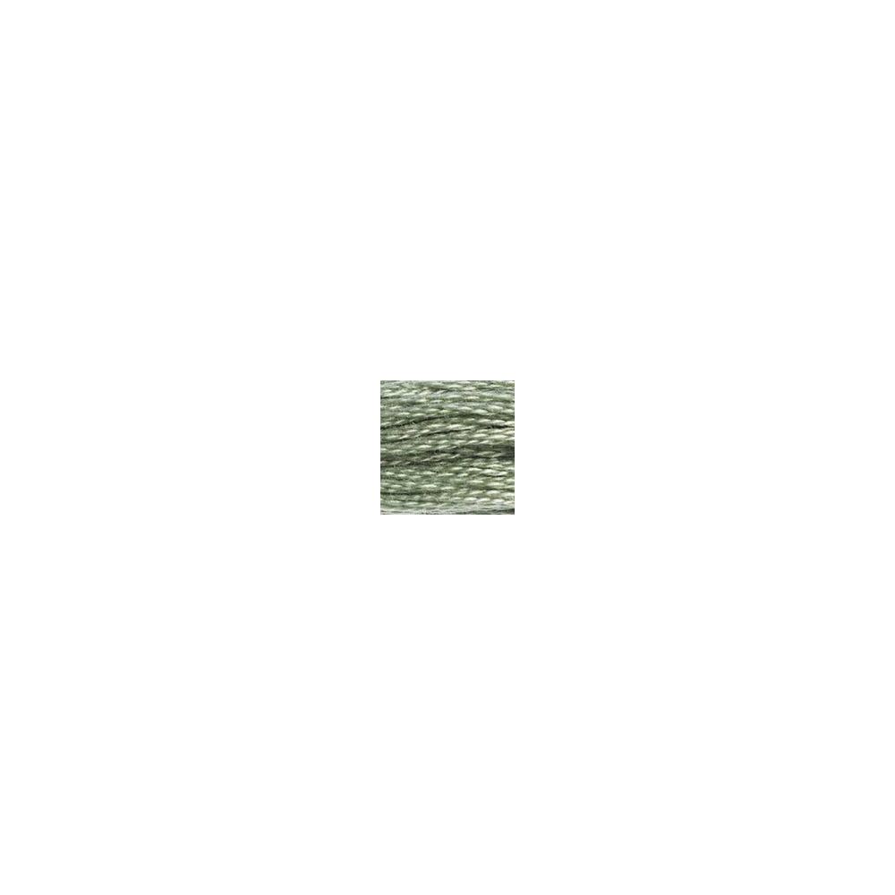 DMC 522 Six-Strand Floss – Fern Green